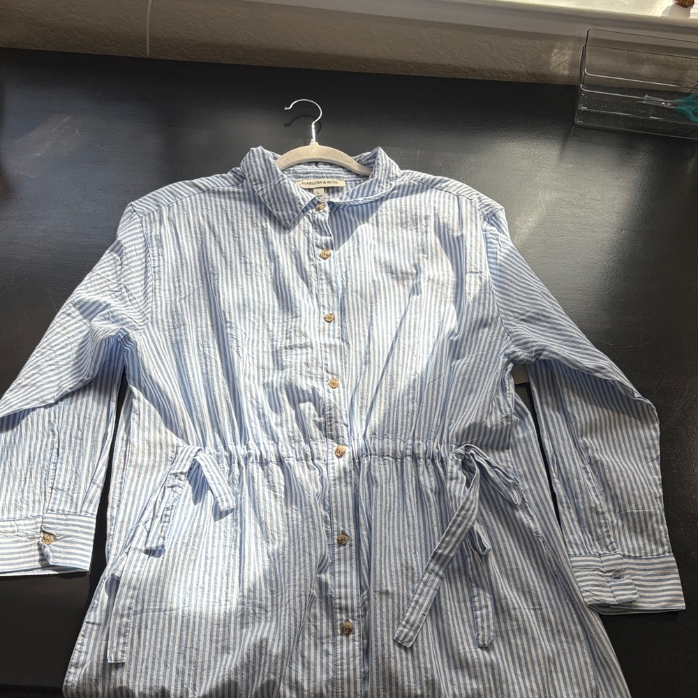 Blue and White Striped Button-Up Dress